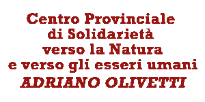 1988: il Centro “Adriano Olivetti”